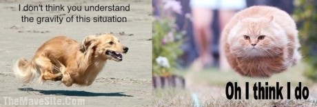 http://sdz-upload.s3.amazonaws.com/prod/upload/TheGravityOfThisSituation.jpg