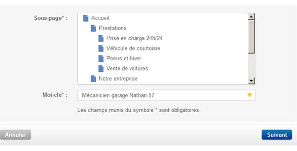 Menu de sélection des sous-pages de votre site à optimiser
