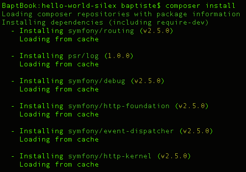 Téléchargement des composants Silex via Composer
