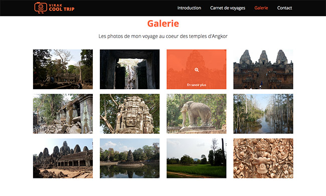 Sur mon site il y a une effet de survol sur les vignettes en version