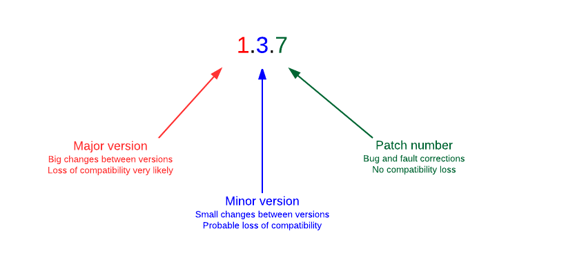 Version numbers of a Node.js application