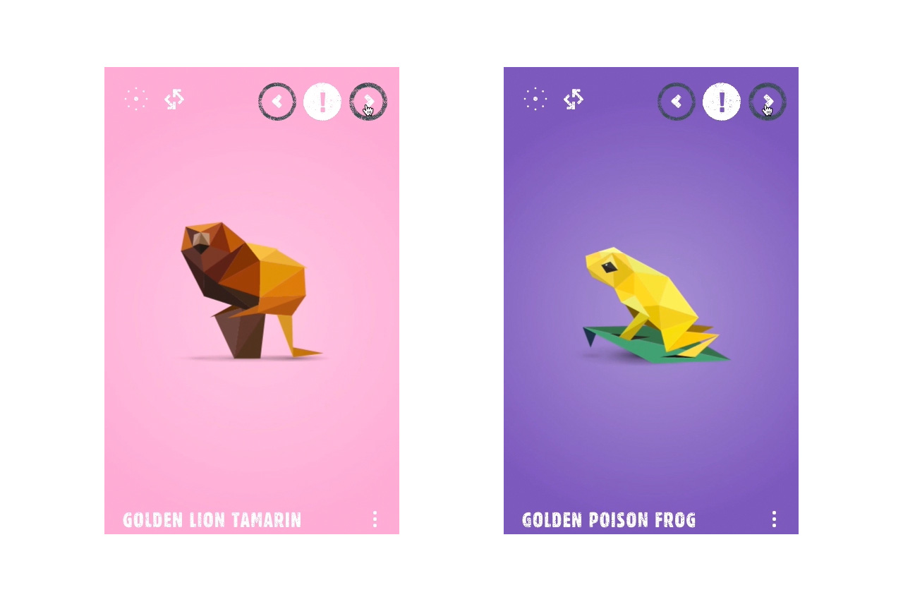 Species in pieces